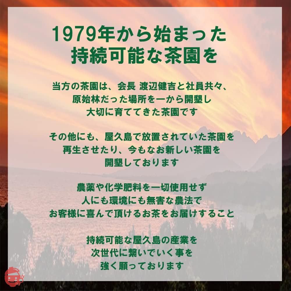 屋久島@深山園 《私たちが作った自然栽培徳用茶です》 未選別ほうじ茶80g 無農薬/無化学肥料の画像
