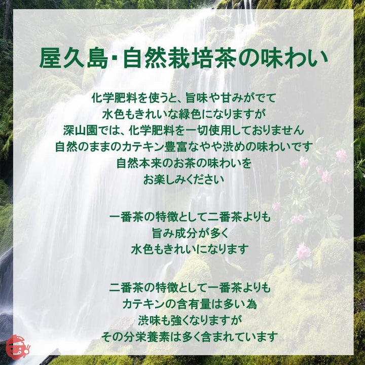 無農薬 無化学肥料 無農薬緑茶 粉末緑茶 緑茶 お茶 茶葉 粉末 パウダー パウダーティー 鹿児島茶 国産 屋久島 深山園 2番茶 粉末緑茶 160g (x 2)の画像