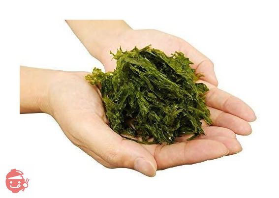 漁師のまかない海苔15g 10袋セットの画像