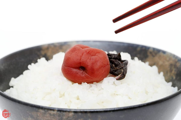 竹内農園 紀州南高梅 【特選】 昔ながらの すっぱい 梅干し 無添加 塩分20% (しそ梅干し1kg)の画像