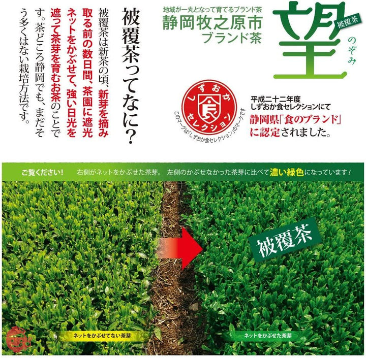 荒畑園 望 銀印 ペットボトル用 ティーパック 3.3g×150個 水出し 緑茶 大容量 ティーバッグの画像