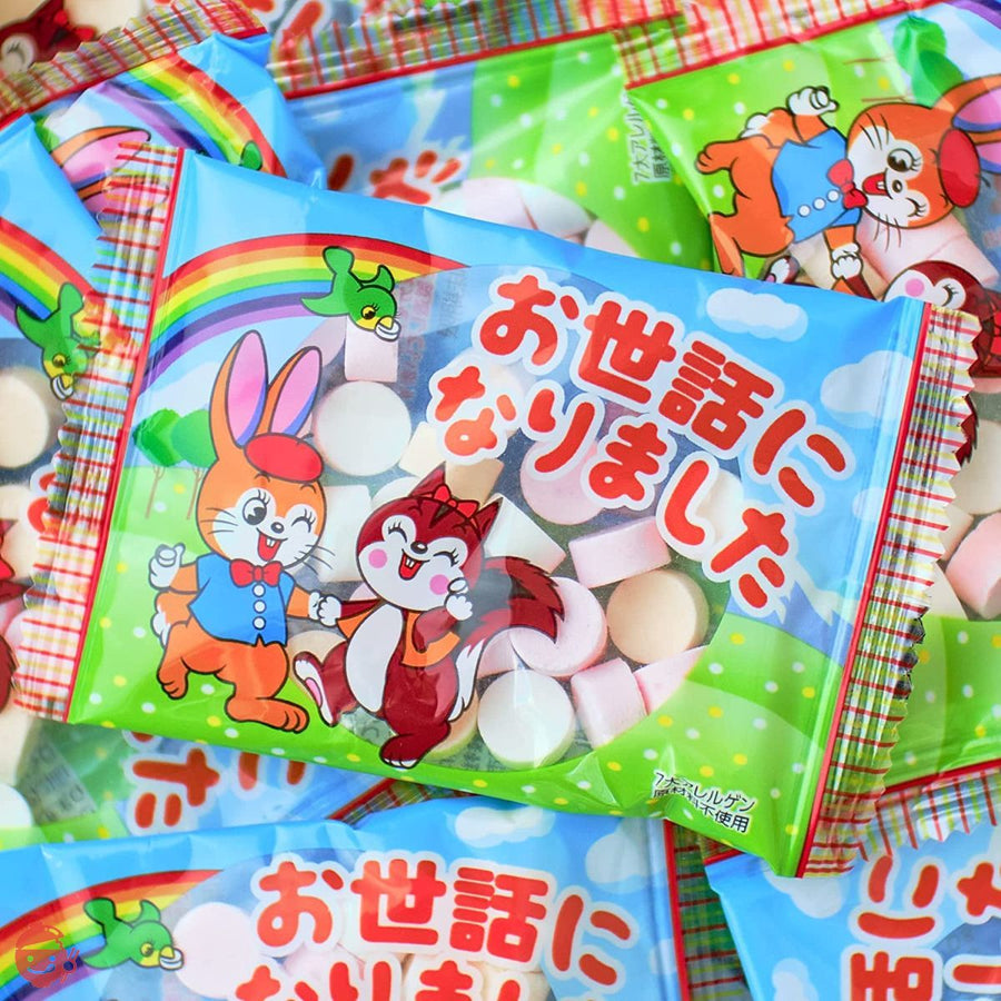 吉松 カクダイ製菓 クッピーラムネ お世話になりました ( 個包装 / 500g 約50個入り ) 退職 お菓子 プチギフト 業務用 駄菓子 御菓子 大量 メッセージ お礼 ( まいガム工房 )の画像