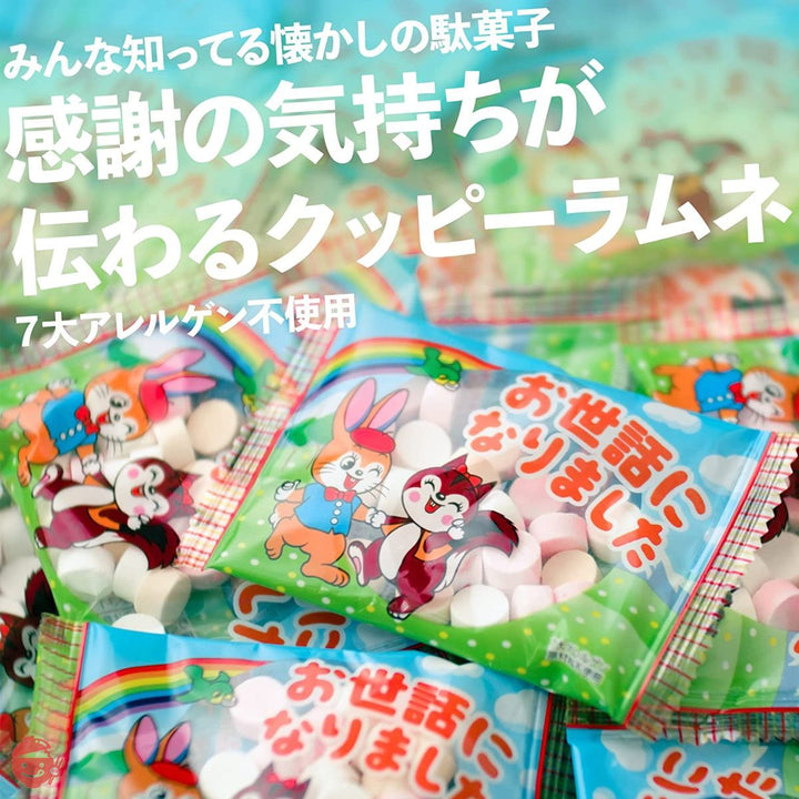 吉松 カクダイ製菓 クッピーラムネ お世話になりました ( 個包装 / 500g 約50個入り ) 退職 お菓子 プチギフト 業務用 駄菓子 御菓子 大量 メッセージ お礼 ( まいガム工房 )の画像