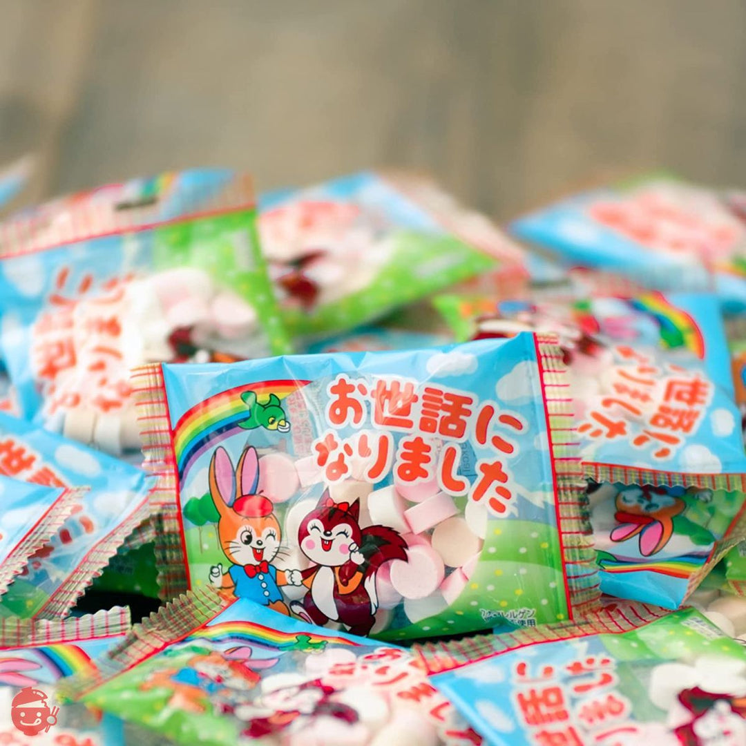 吉松 カクダイ製菓 クッピーラムネ お世話になりました ( 個包装 / 500g 約50個入り ) 退職 お菓子 プチギフト 業務用 駄菓子 御菓子 大量 メッセージ お礼 ( まいガム工房 )の画像