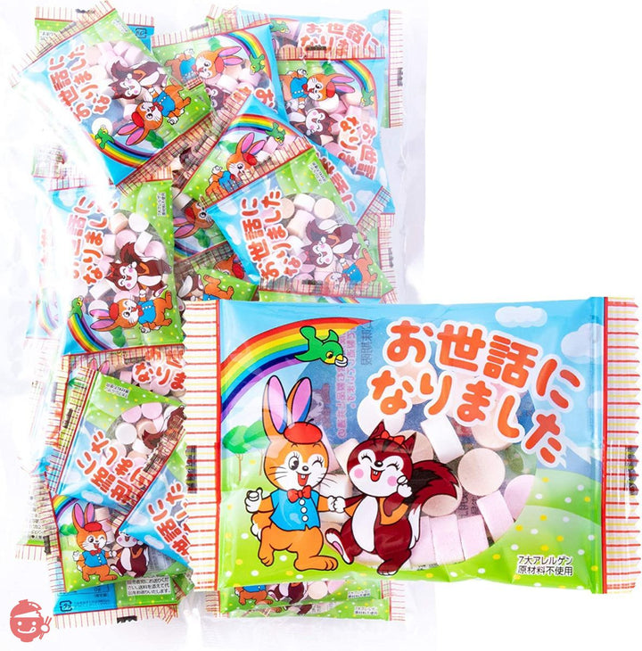 吉松 カクダイ製菓 クッピーラムネ お世話になりました ( 個包装 / 500g 約50個入り ) 退職 お菓子 プチギフト 業務用 駄菓子 御菓子 大量 メッセージ お礼 ( まいガム工房 )の画像
