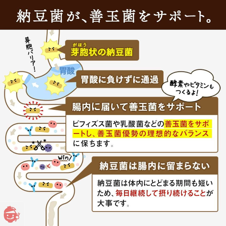 【こな納豆 / 通常】納豆菌が生きている!ひとさじでバランス栄養食に 粉納豆(国産 納豆粉末100%・完全無添加 納豆パウダー)(50g+ボトル)の画像