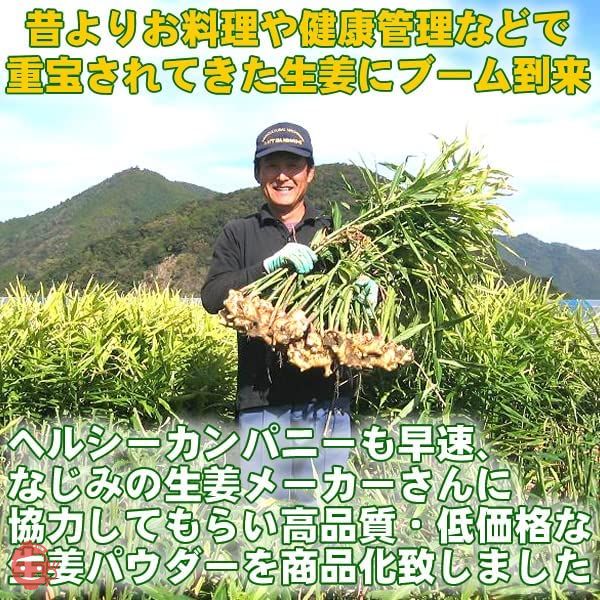 高知県産 生姜 パウダー 100g しょうが 乾燥 粉末 ウルトラ生姜「殺菌蒸し工程 1cc計量スプーン入り」の画像