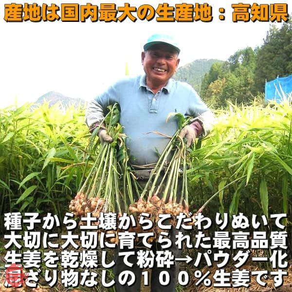 高知県産 生姜 パウダー 100g しょうが 乾燥 粉末 ウルトラ生姜「殺菌蒸し工程 1cc計量スプーン入り」の画像