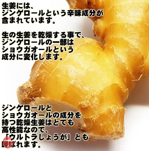 高知県産 生姜 パウダー 100g しょうが 乾燥 粉末 ウルトラ生姜「殺菌蒸し工程 1cc計量スプーン入り」の画像