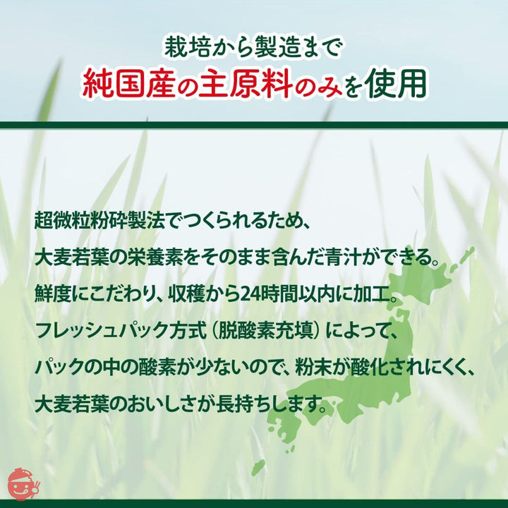 NIHON YAKKEN 金の青汁 純国産大麦若葉 100%粉末 (95パック / 抹茶風味/国産) 無農薬 無添加 (香料 ・ 着色料) すっきり 野菜不足改善 (ビタミン/ミネラル/食物繊維) 大容量 日本薬健 青汁の画像