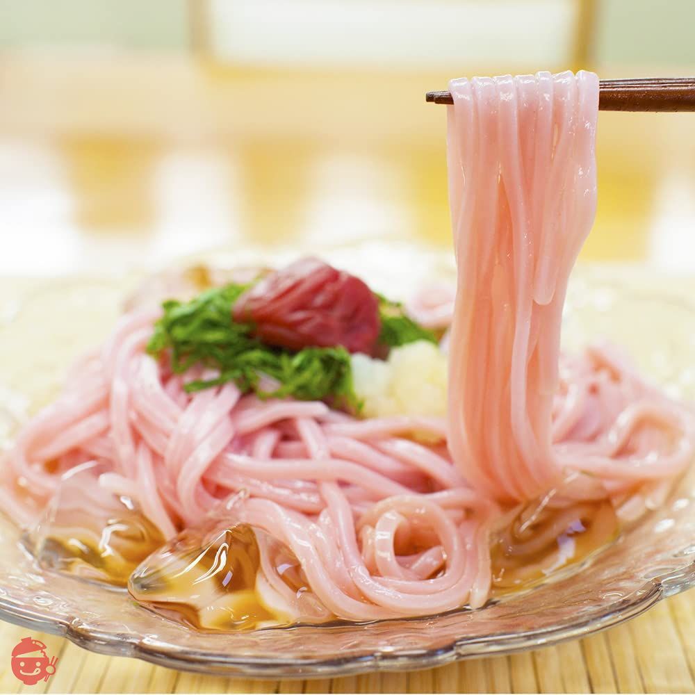 Fumiko Farm Plum Udon Cold Udon Kishu Nanko Plum Meat Cold Udon 4