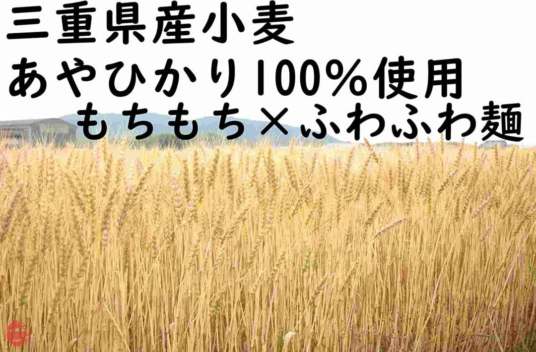 伊勢うどん10食入り(たれ付き)の画像
