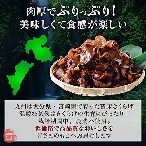 森のきのこ倶楽部 乾燥 きくらげ 300g ( 国産 / マルチ食材 / 水で簡単に戻る ) 木耳 ( 肉厚 / 家庭用 / 業務用 ) ギフトの画像