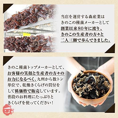 森のきのこ倶楽部 乾燥 きくらげ 300g ( 国産 / マルチ食材 / 水で簡単に戻る ) 木耳 ( 肉厚 / 家庭用 / 業務用 ) ギフトの画像