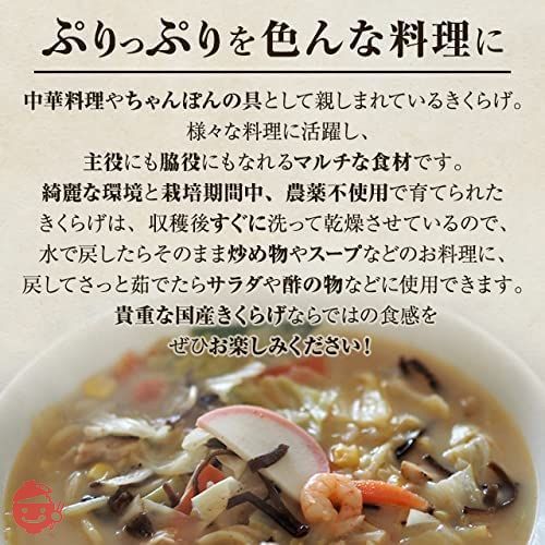森のきのこ倶楽部 乾燥 きくらげ 100g ( 国産 / マルチ食材 / 水で簡単に戻る ) 木耳 ( 肉厚 / 家庭用 / 業務用 ) ギフトの画像