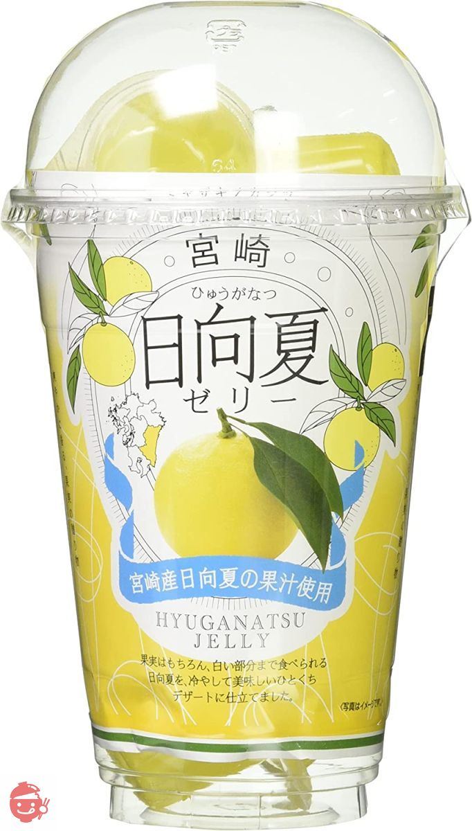 ユタカ商会 日向夏ポーションゼリー (22g×12個) × 2 – Japacle