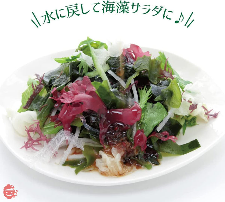乾燥わかめ カット わかめ 1kg ワカメ 乾燥 業務用 大容量 海藻 美容 健康 便利なチャック付き! 肉厚 (調理しやすいカット形状) 【 瀬川本店 乾物専門問屋厳選 】の画像