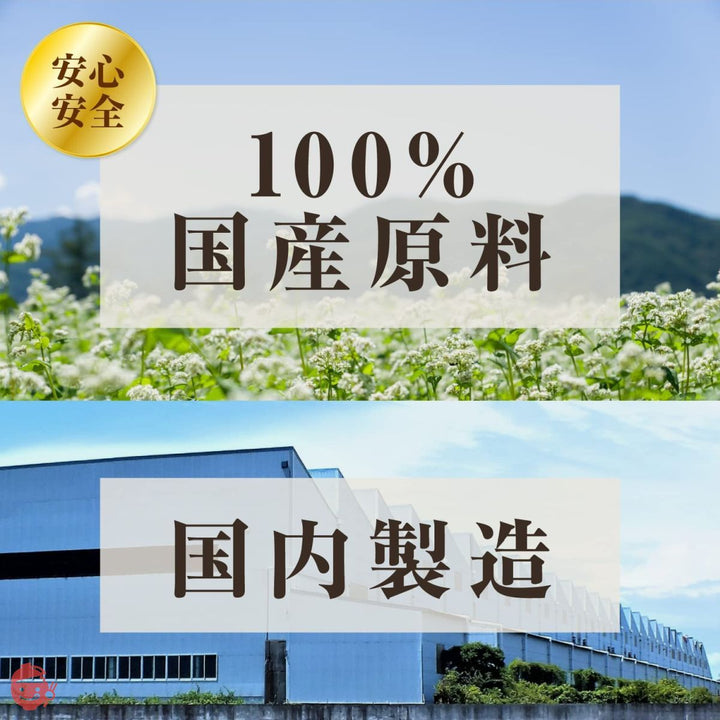 たべふく 信州戸隠そば 国産 十割そば 半生 110g 蕎麦 グルテンフリー 小麦粉不使用 国産そば粉 そばつゆ ストレート 50ml 詰め合わせセット (4袋)の画像