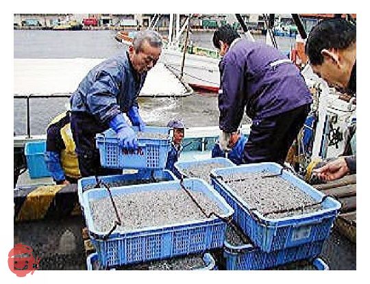 2023新物 5年連続リピートNo,1 兵庫県 淡路島炊き いかなご 釘煮 500g( 小女子 イカナゴ くぎに くぎ煮 )の画像