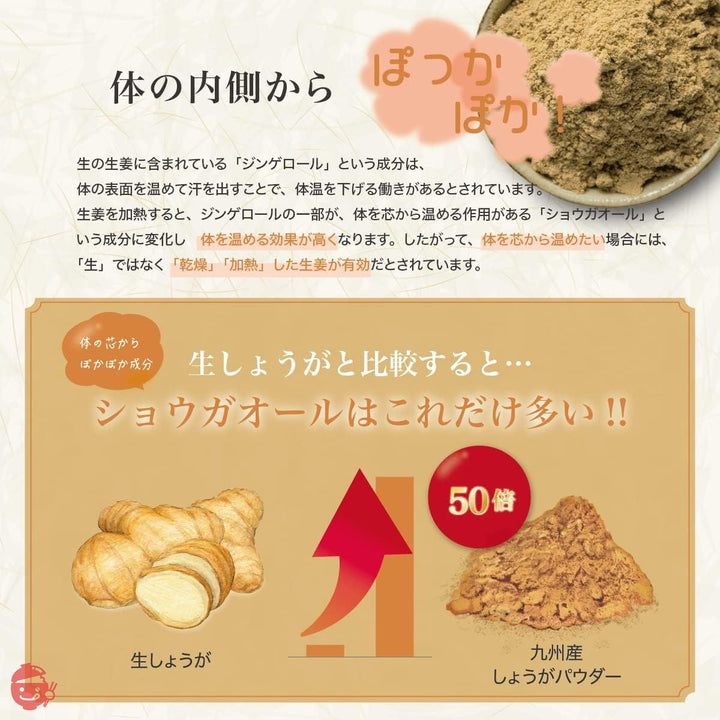 和漢堂 九州産 しょうがパウダー 乾燥生姜 生姜 粉末 乾燥 しょうが ジンジャー 70gの画像