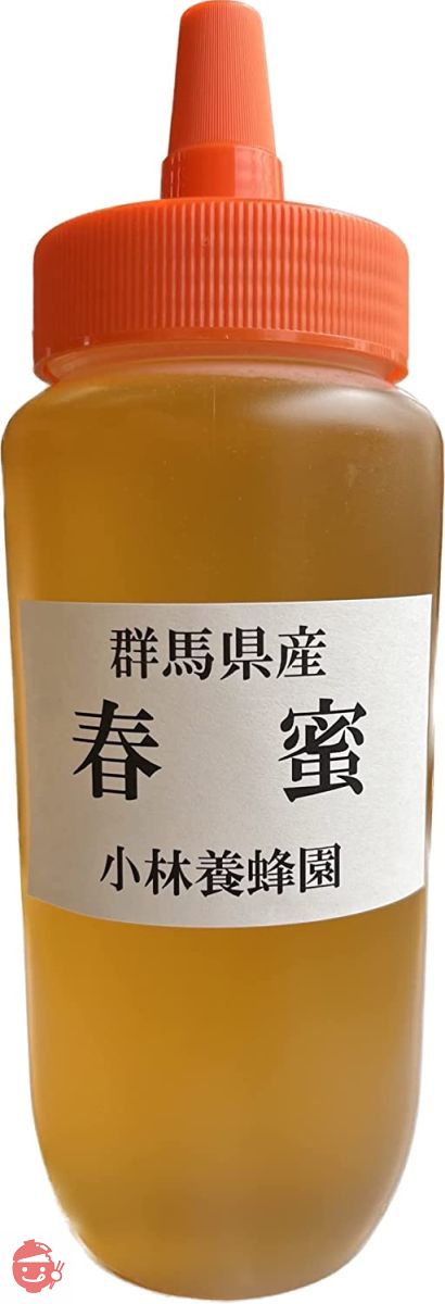 2023年産新蜜 国産春蜜 500g 群馬県産 生はちみつの画像