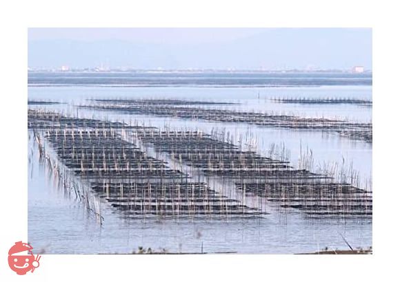 訳あり 焼き海苔50枚 チャック付き 有明海産 焼き海苔 全型50枚の画像