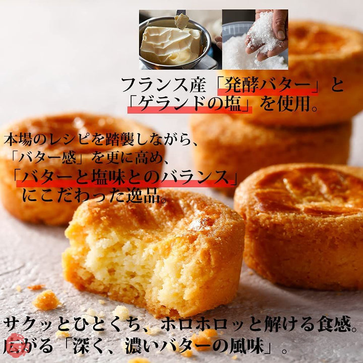 フィナンシェ 個包装バターバトラー バターガレット9個入の画像