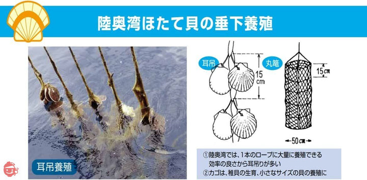 いなば 国産 ほたて貝柱水煮(フレーク) 70g×3缶の画像