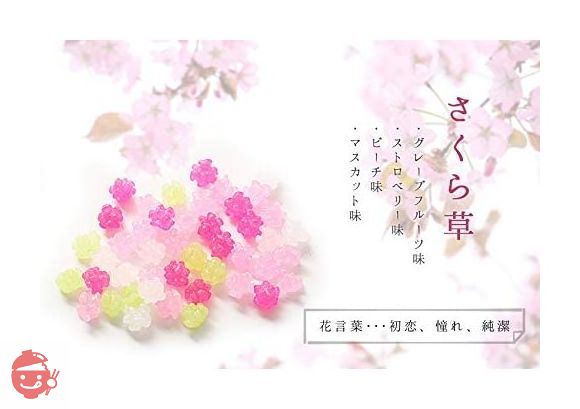 ふみこ農園 退職のお礼やプチギフトに使える メッセージ入り金平糖(こんぺいとう)30g 12セット さくら草(ほんの気持ちです)の画像