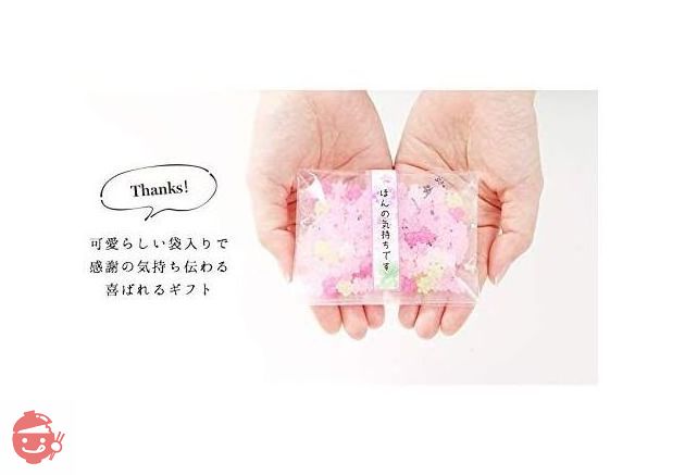 ふみこ農園 退職のお礼やプチギフトに使える メッセージ入り金平糖(こんぺいとう)30g 12セット さくら草(ほんの気持ちです)の画像