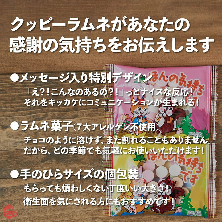 吉松 感謝の気持ちが伝わる ほんの気持ちです クッピーラムネ カクダイ製菓 (約50個入り / 500g 個包装) 退職 お菓子 プチギフト 業務用 駄菓子 メッセージ お礼 (まいガム工房)の画像