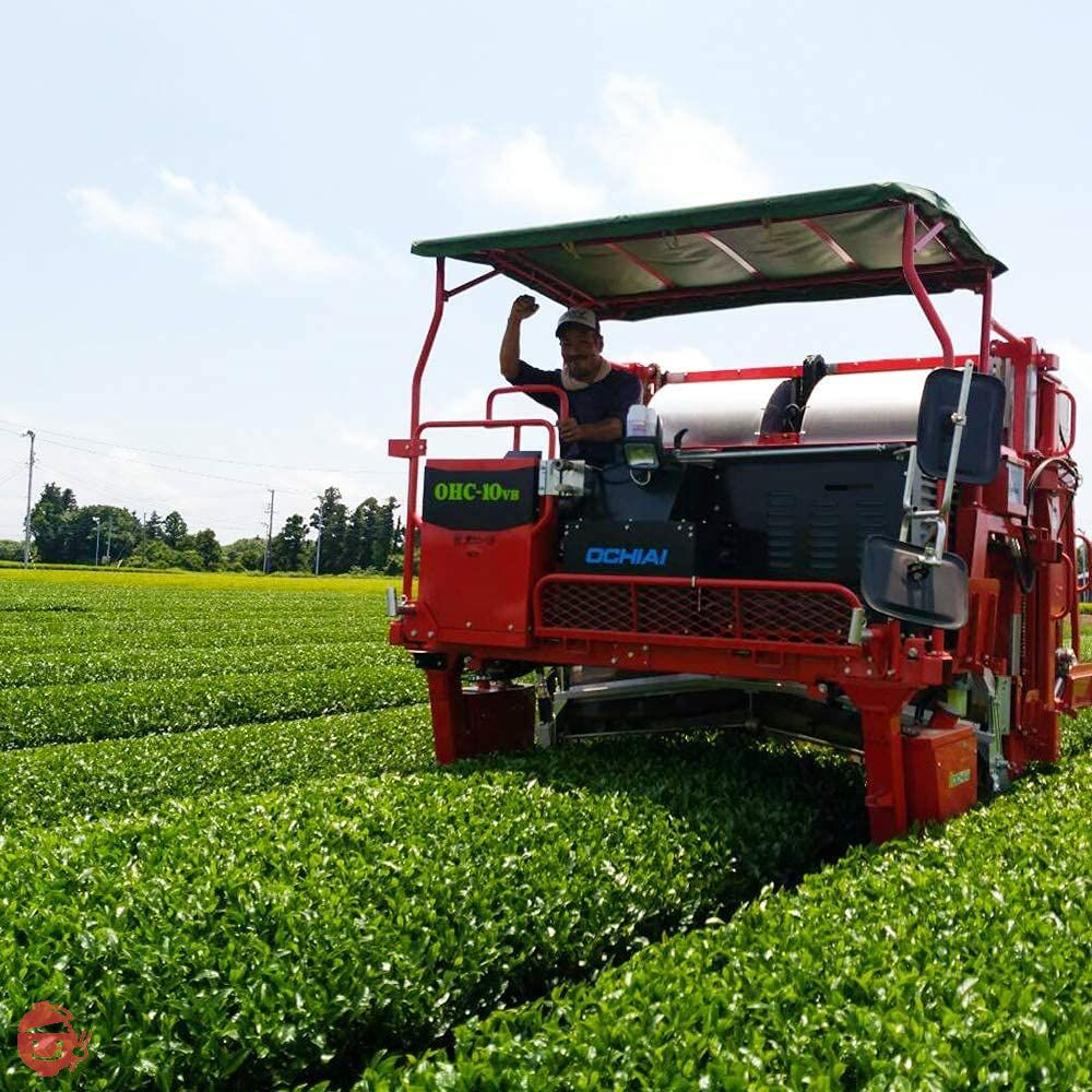 荒畑園 大地の詩 芽茶 茶の芽パック 100g(5g×20袋)1リットル用 高級 ティーパック ティーバッグ 冷茶 水出しの画像