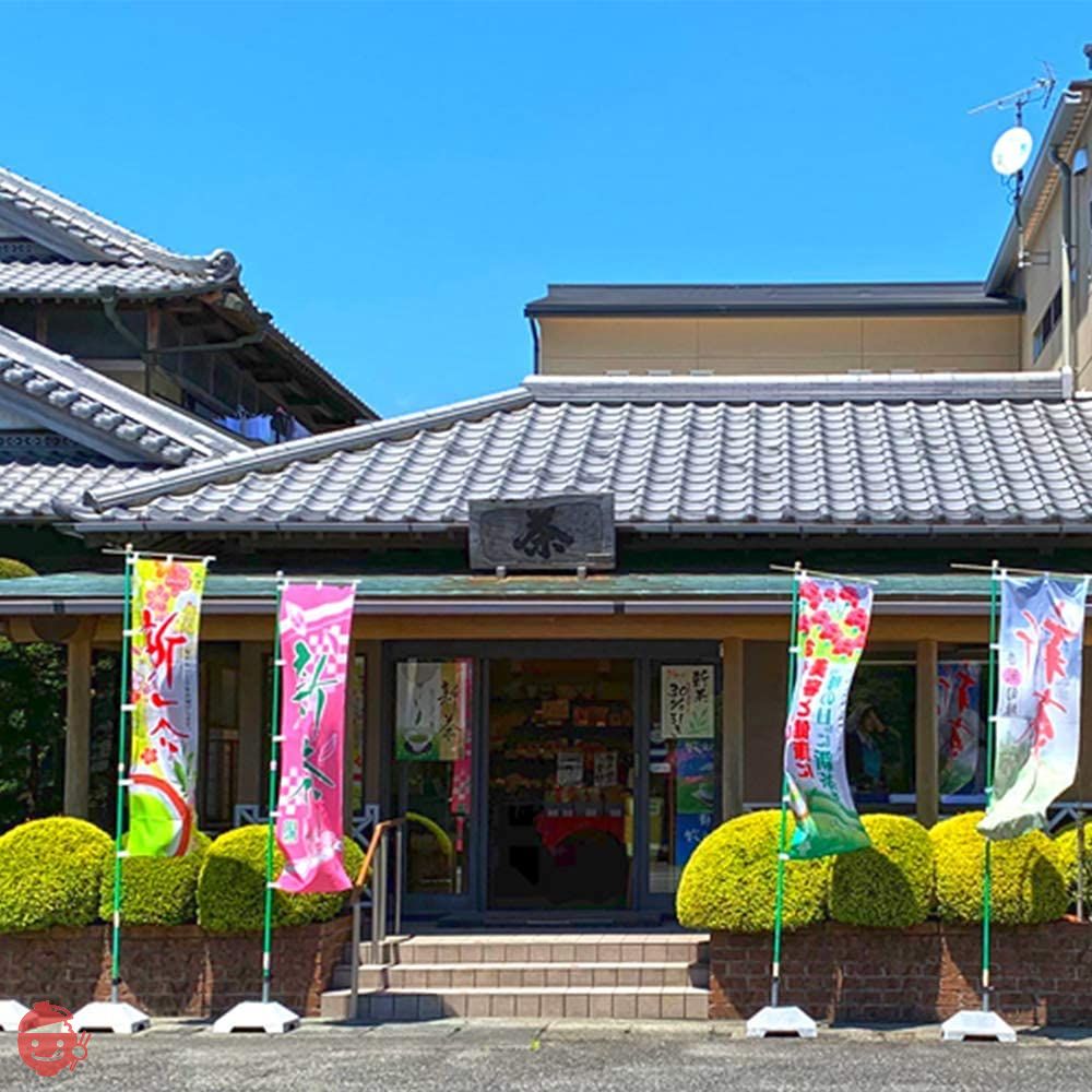 荒畑園 大地の詩 芽茶 茶の芽パック 100g(5g×20袋)1リットル用 高級 ティーパック ティーバッグ 冷茶 水出しの画像