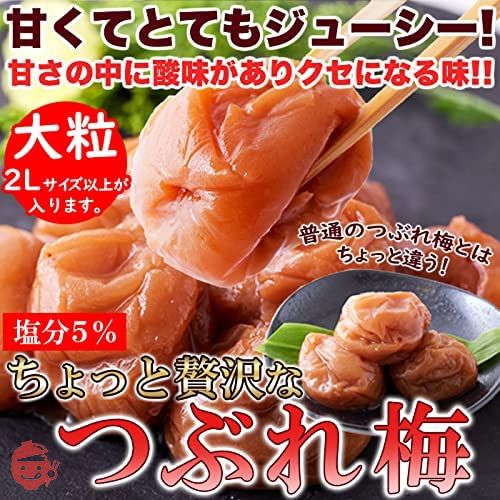 天然生活 つぶれ梅 梅干し 塩分5% はちみつ 訳あり 紀州南高梅 和歌山県産 大粒 はねだし梅 (2個(800g))の画像