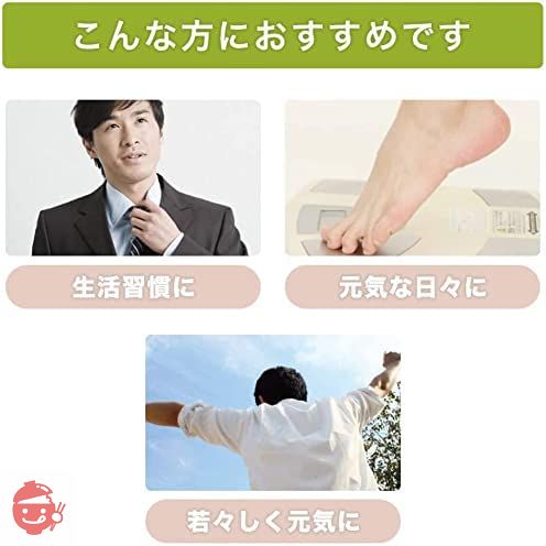 健康・野草茶センター 松葉茶 松の葉 国産 無添加 松葉100% 粉末 パウダー 健康茶 120gの画像