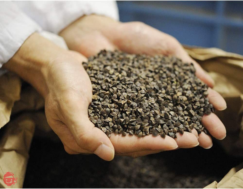 本田商店 出雲そば 180g×6袋の画像