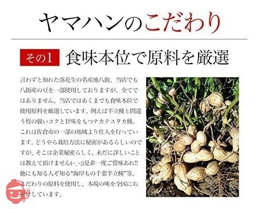 令和4年産 千葉県産素煎り落花生ナカテユタカ 450g 素焼き ピーナッツの画像
