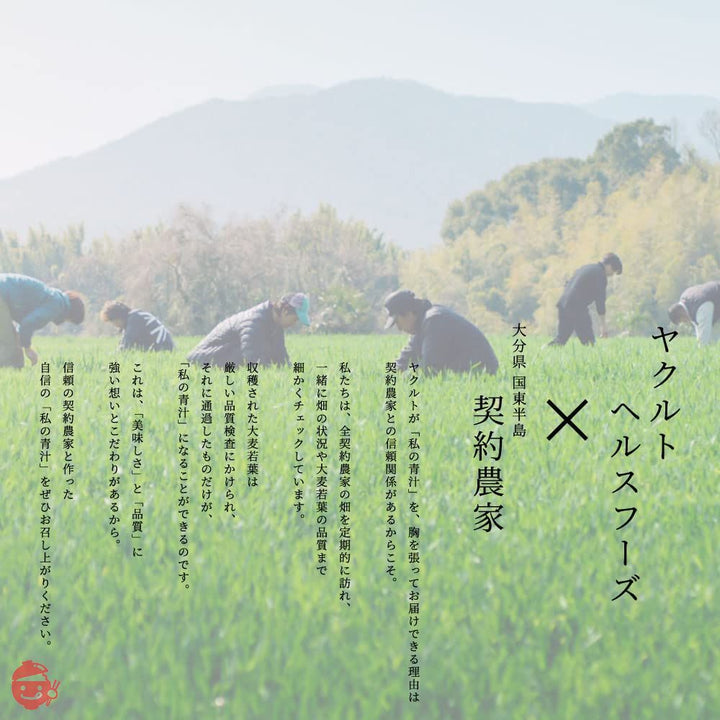ヤクルトヘルスフーズ 私の青汁 360g(4gx90袋)の画像