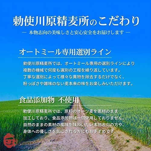 勅使川原精麦所 オートミール ロールドオーツ 500g×2袋の画像