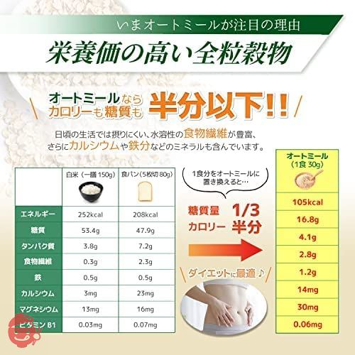勅使川原精麦所 オートミール ロールドオーツ 500g×2袋の画像
