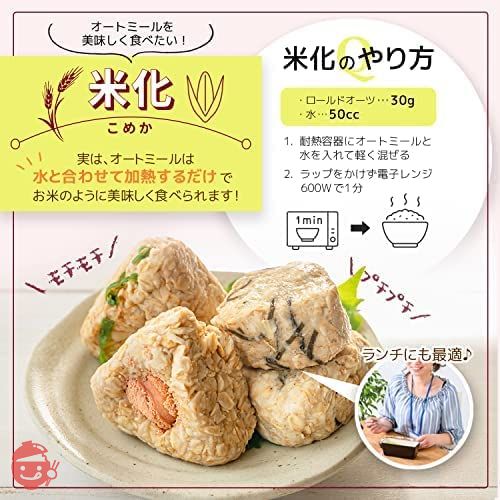 勅使川原精麦所 オートミール ロールドオーツ 500g×2袋の画像