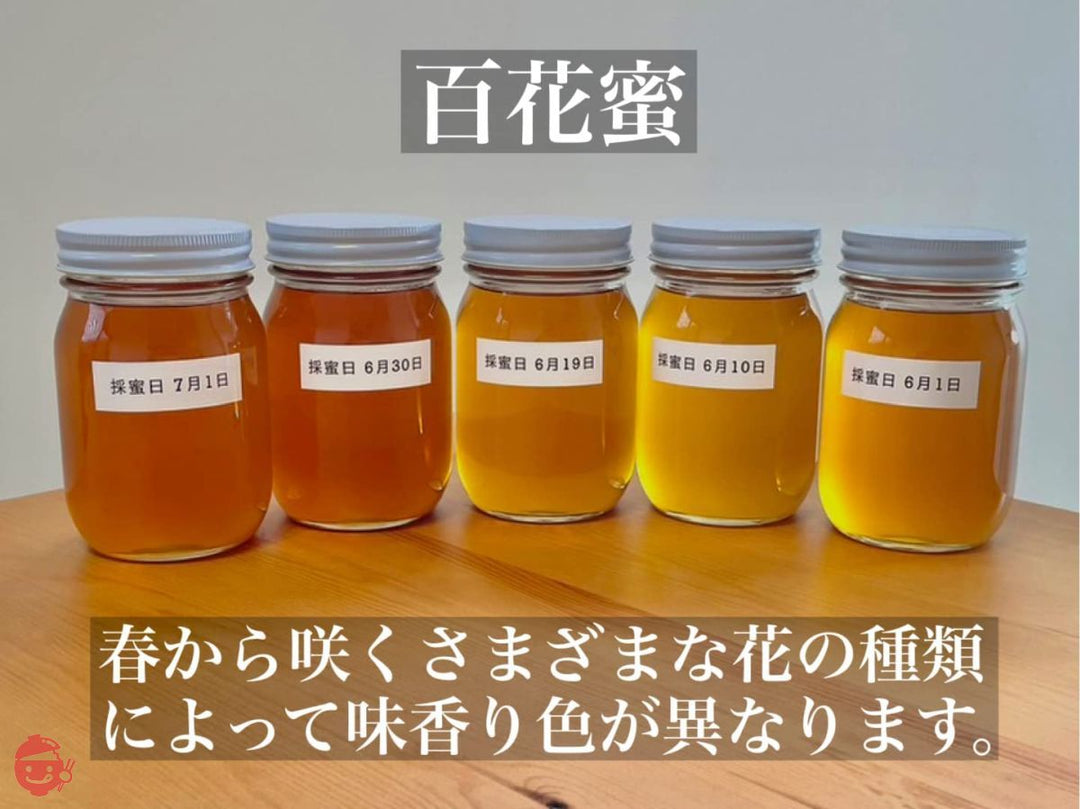 国産天然純粋蜂蜜【明蜂堂】自家採蜜 百花500g(PP容器)の画像
