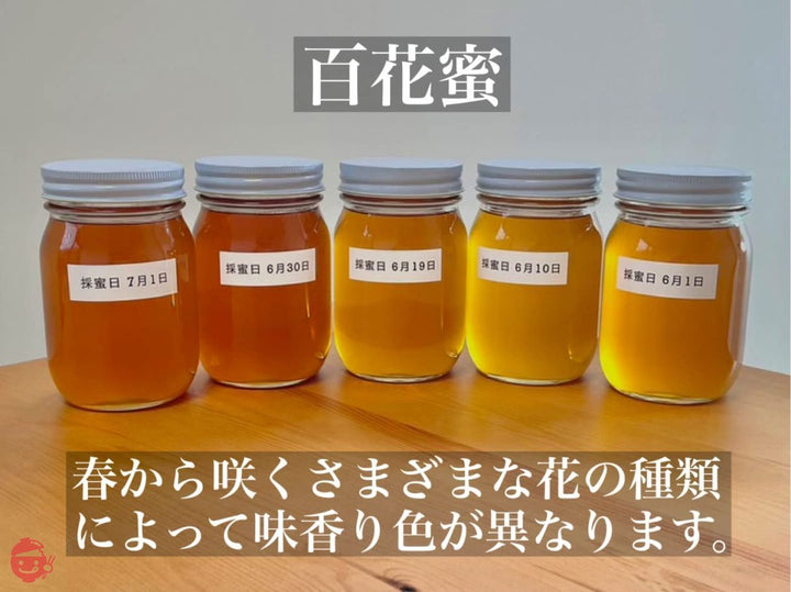国産天然純粋蜂蜜【明蜂堂】自家採蜜 百花500g(PP容器)の画像