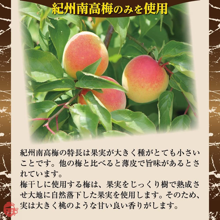 梅干し 紀州南高梅 梅の一冨士 減塩つぶれ梅 はちみつ 塩分約3% (850g) 訳ありの画像