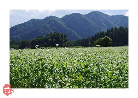 おびなた 蕎麦通の二八そば 240g×15袋の画像