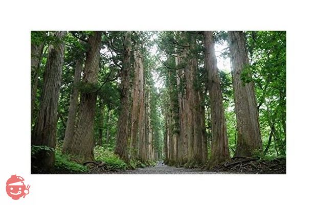 おびなた 蕎麦通の二八そば 240g×15袋の画像