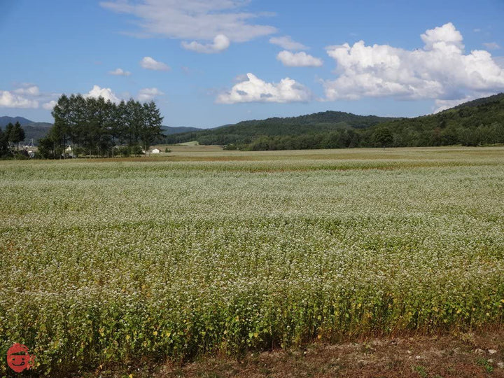 玉垣製麺所 妻有ざるうどん 20把入の画像