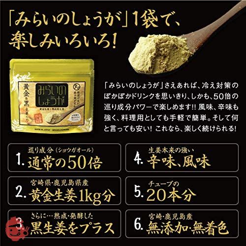 タマチャンショップ みらいのしょうが 70g 黄金しょうが粉末 九州産黄金&熟成黒しょうが粉末 (生姜粉末) 生姜パウダー 無添加の画像