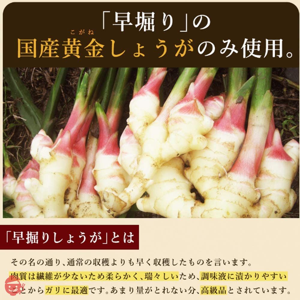 国産生姜使用 甘酢しょうが 平切 1kg【合成着色料・保存料 不使用】の画像