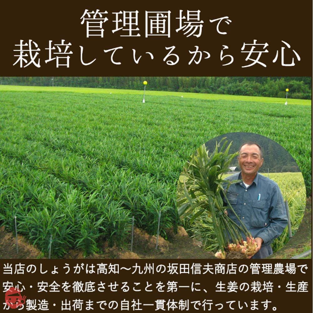 国産生姜使用 紅しょうが千切り 1Kg【合成着色料・保存料 不使用】の画像